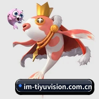 im体育资讯 APP