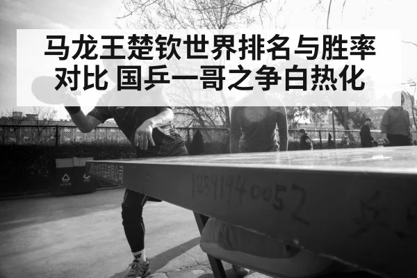 马龙王楚钦世界排名与胜率对比 国乒一哥之争白热化